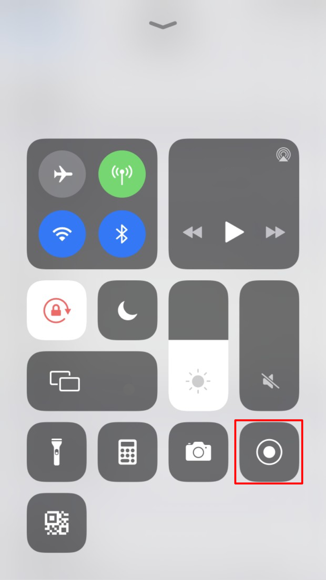 iPhone_8.1_3x_.png